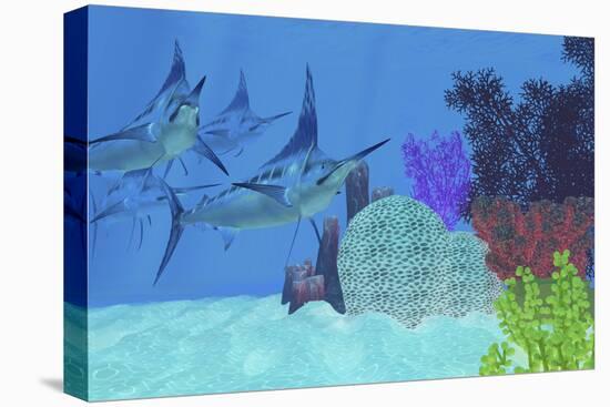 Marlin Predatory Fish Look for Prey around an Ocean Coral Reef-Stocktrek Images-Stretched Canvas