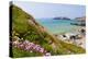 Marloes Sands, Pembrokeshire, Wales, United Kingdom, Europe-Billy Stock-Premier Image Canvas