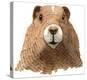 Marmot-Jeannine Saylor-Stretched Canvas