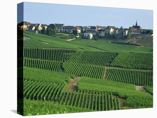 Marne, Champagne, Cramant Village and Vineyards, France-Steve Vidler-Premier Image Canvas