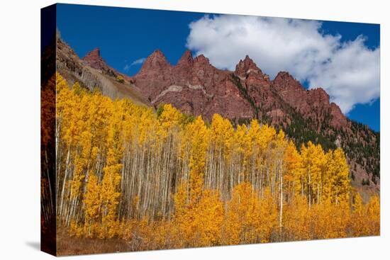 Maroon Bells-Snowmass Wilderness of Colorado, red rock cliffs.-Mallorie Ostrowitz-Premier Image Canvas