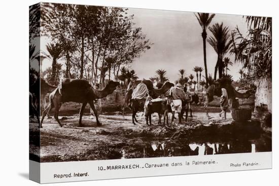 Marrakech - Caravan in the Palm Grove-null-Premier Image Canvas
