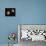 Mars and Deimos, Artwork-null-Premier Image Canvas displayed on a wall