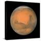 Mars Close Approach 2007, HST Image-null-Premier Image Canvas