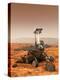 Mars Exploration Rover-null-Premier Image Canvas