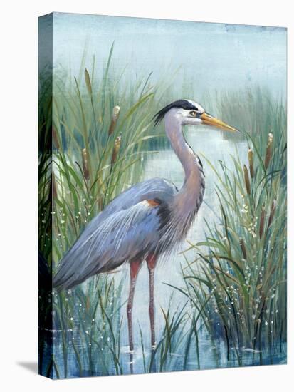 Marsh Heron I-Tim O'toole-Stretched Canvas