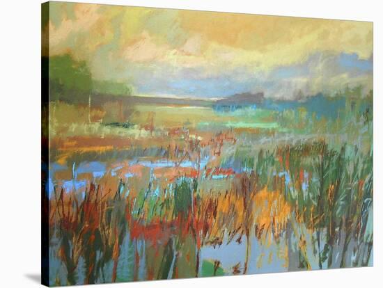 Marsh in May-Jane Schmidt-Stretched Canvas