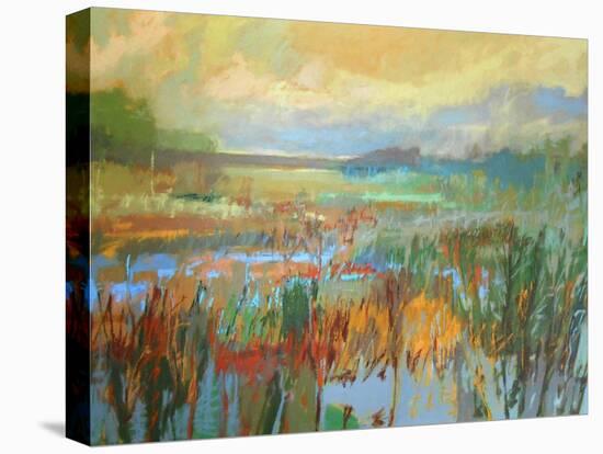 Marsh in May-Jane Schmidt-Stretched Canvas