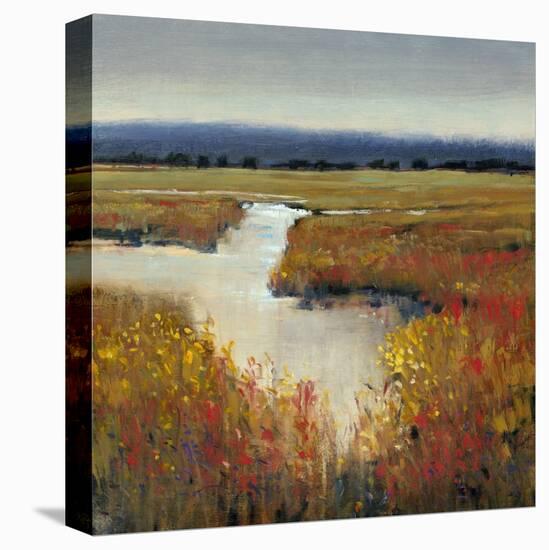Marsh Land I-Tim O'toole-Stretched Canvas