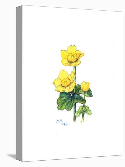 Marsh Marigold, 1998-Nell Hill-Premier Image Canvas