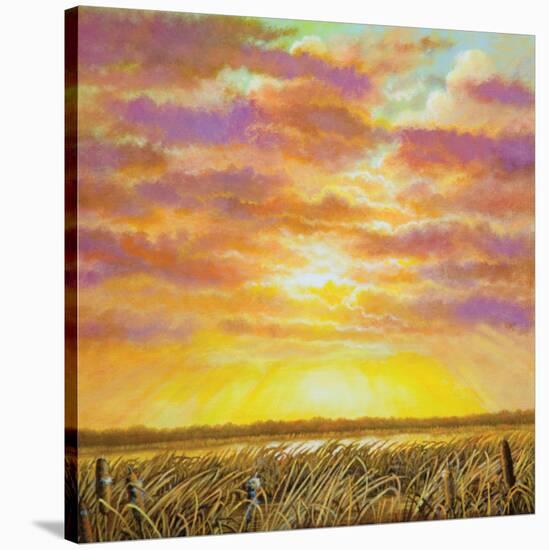 Marsh Path-Jerrie Glasper-Stretched Canvas