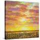 Marsh Path-Jerrie Glasper-Stretched Canvas