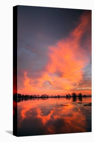 Marsh Sunset Reflections, Merced Wildlife Refuge-Vincent James-Premier Image Canvas