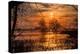 Marsh Sunset Through the Trees, Merced Wildlife-null-Premier Image Canvas