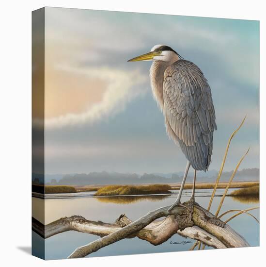 Marsh Watch - Great Blue Heron-Richard Clifton-Stretched Canvas