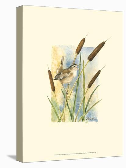 Marsh Wren and Cattails-Janet Mandel-Stretched Canvas