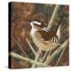 Marsh Wren-Kestrel Michaud-Premier Image Canvas