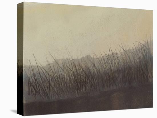 Marshland Grasses-Sammy Sheler-Stretched Canvas