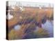 Marshland Hues II-Steve Hunziker-Stretched Canvas