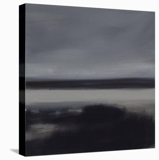 Marshland-Beth Wintgens-Stretched Canvas