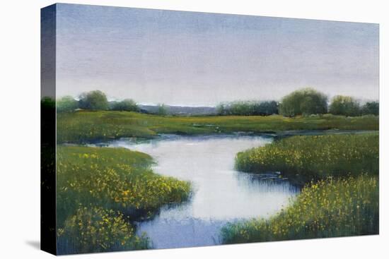 Marshlands II-Tim OToole-Stretched Canvas