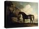 Marske', a Dark Bay Racehorse, in a Rocky River Landscape-George Stubbs-Premier Image Canvas