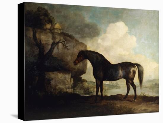 Marske'-George Stubbs-Premier Image Canvas