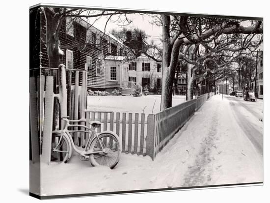 Martha's Vineyard in Winter-Alfred Eisenstaedt-Premier Image Canvas