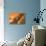 Martian Colony, Artwork-Richard Bizley-Premier Image Canvas displayed on a wall