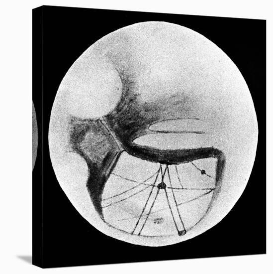 Martian Double 'Canals' 'Phison' and 'Euphrates' as Observed on 18 November 1894-null-Premier Image Canvas