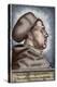 Martin Luther, (1483-1546), German Reformer, Portrait-null-Premier Image Canvas