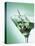 Martini with Olive Splash-Steve Lupton-Premier Image Canvas