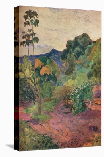 'Martinique Landscape', 1887-Paul Gauguin-Premier Image Canvas