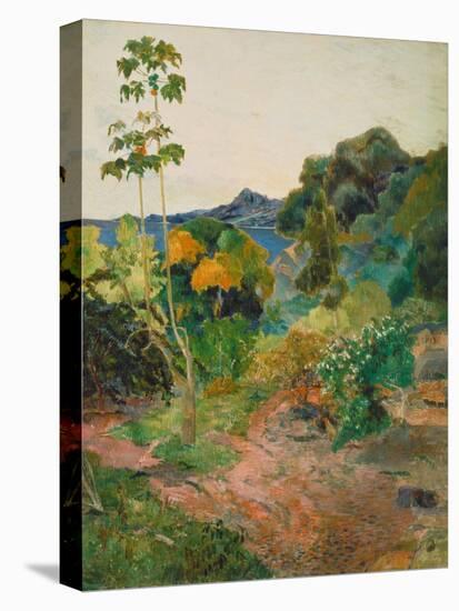 Martinique Landscape (Tropical Vegetation), 1887-Paul Gauguin-Premier Image Canvas