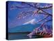Marvellous Mount Fuji with Cherry Blossom in Japan-Markus Bleichner-Stretched Canvas