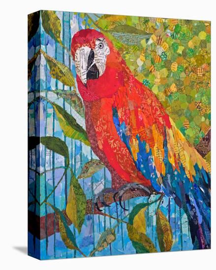 Marvelous Macaw-null-Stretched Canvas