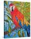 Marvelous Macaw-null-Stretched Canvas