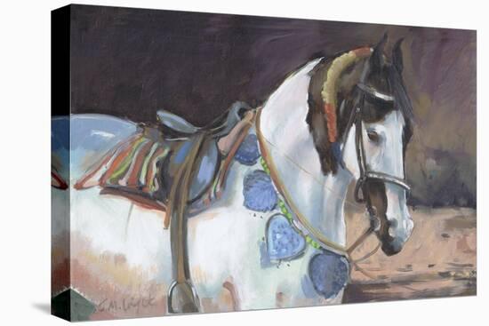 Marwari Horse II-Jennifer Wright-Premier Image Canvas