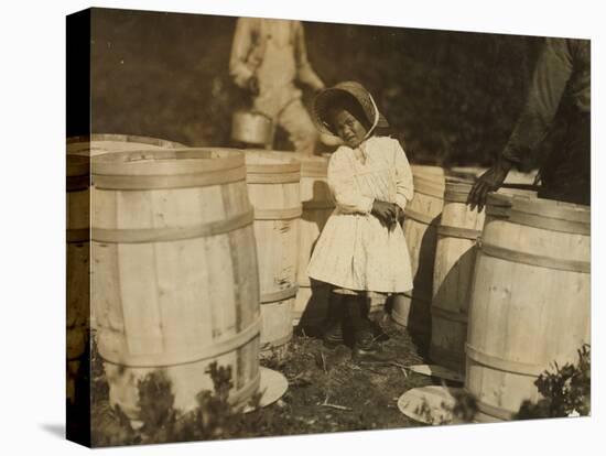 Mary Christmas, Only 3, Made to Pick Cranberries Spilt at the Barrels by Her Grandfather-Lewis Wickes Hine-Premier Image Canvas