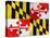 Maryland-Artpoptart-Premier Image Canvas