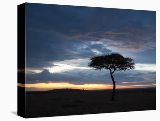 Masai Mara, Kenya, East Africa, Africa-Sergio Pitamitz-Premier Image Canvas