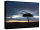 Masai Mara, Kenya, East Africa, Africa-Sergio Pitamitz-Premier Image Canvas