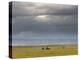 Masai Mara, Kenya, East Africa, Africa-Sergio Pitamitz-Premier Image Canvas