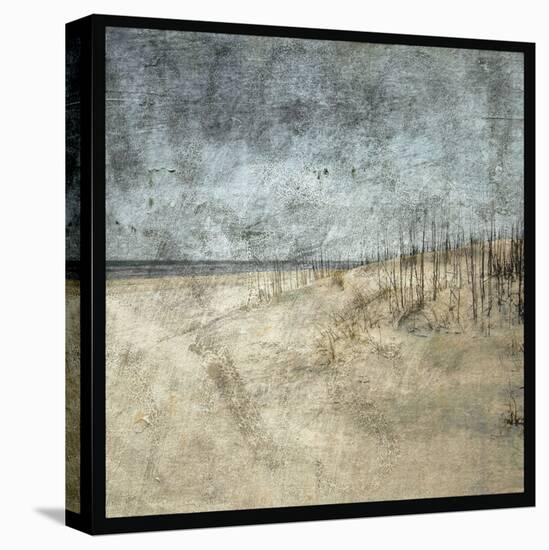 Masonboro Island No. 5-John Golden-Stretched Canvas