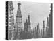 Mass of Oil Derricks at Spindletop Oil Field-null-Premier Image Canvas