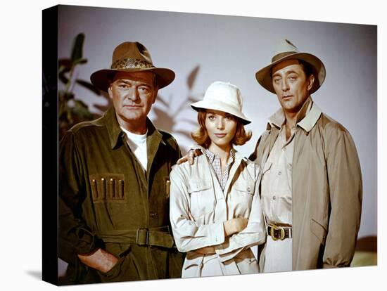 Massacre pour un fauve Rampage by PhilKarlson with Jack Hawkins, Elsa Martinelli and Robert Mitchum-null-Stretched Canvas