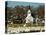 Masses of Snow Geese in Agricultural Fields of Skagit Valley, Washington, USA-Trish Drury-Premier Image Canvas