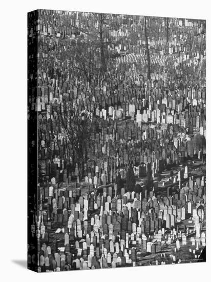 Masses of Tombstones in Cemetery in Queens-Andreas Feininger-Premier Image Canvas