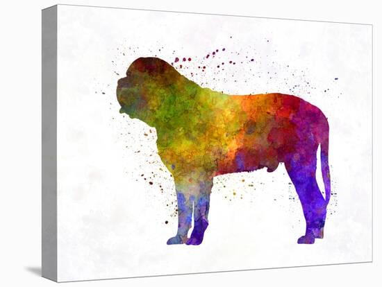 Mastiff in Watercolor-paulrommer-Stretched Canvas