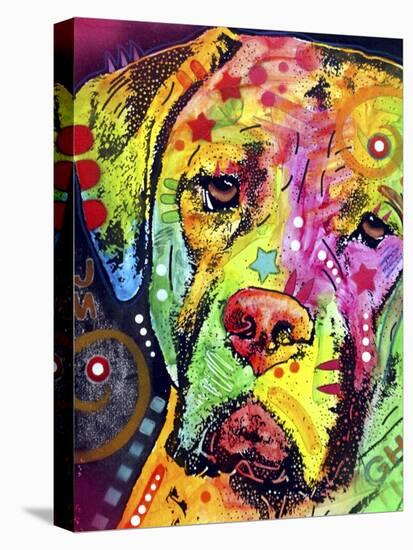 Mastiff-Dean Russo-Premier Image Canvas